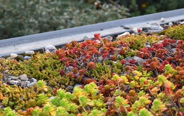 the cost of Nether Kirkton green roof installation