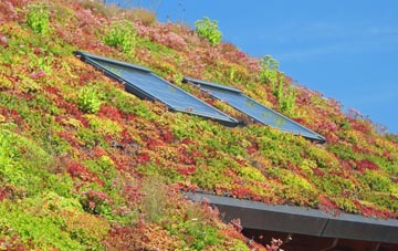 Nether Kirkton living roof systems