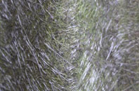 Nether Kirkton fibreglass roof work